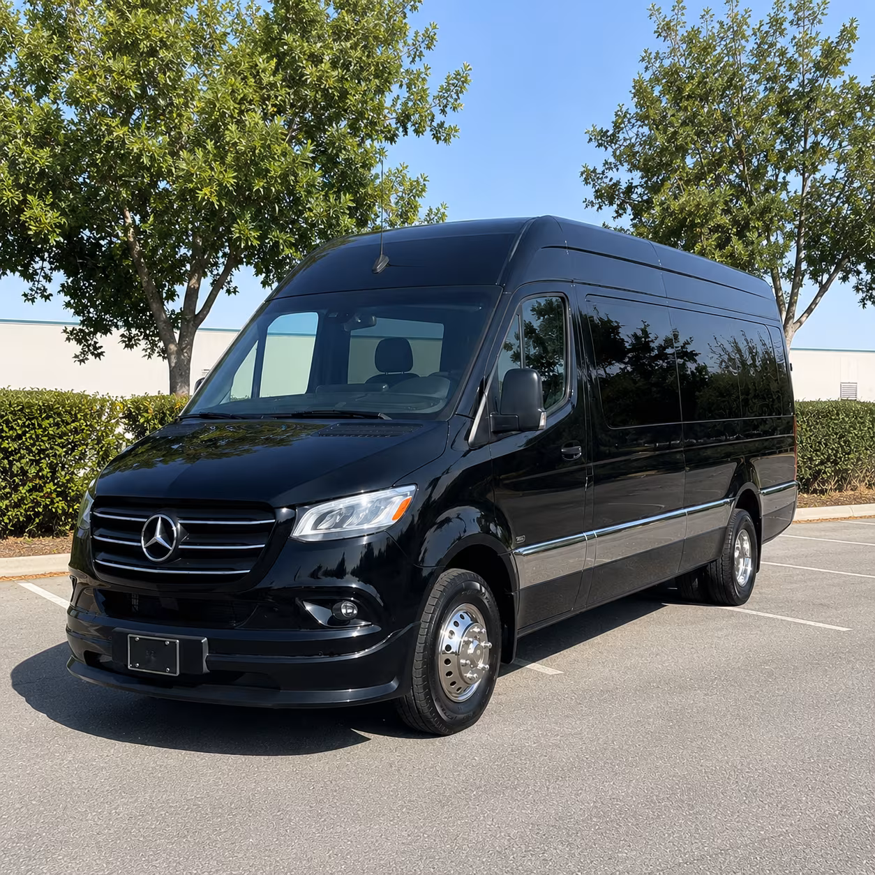 flower mound long distance transportation onboard seating